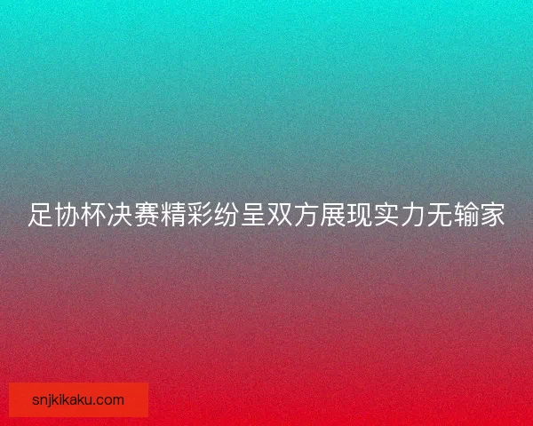 足协杯决赛精彩纷呈双方展现实力无输家