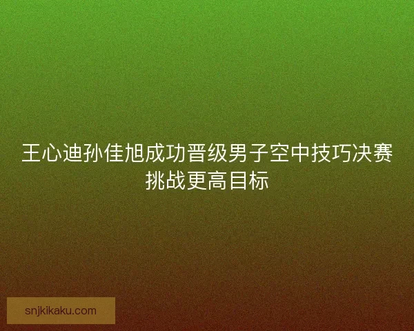 王心迪孙佳旭成功晋级男子空中技巧决赛挑战更高目标