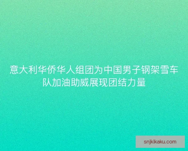 意大利华侨华人组团为中国男子钢架雪车队加油助威展现团结力量