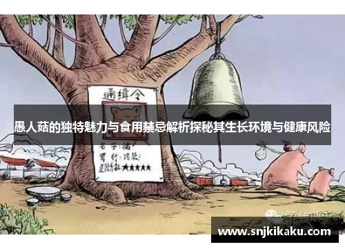 愚人菇的独特魅力与食用禁忌解析探秘其生长环境与健康风险